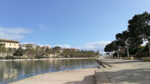 sol gente palma buen tiempo