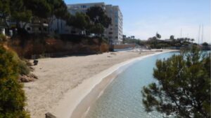 calita playa portals nous