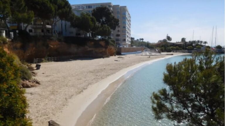 calita playa portals nous