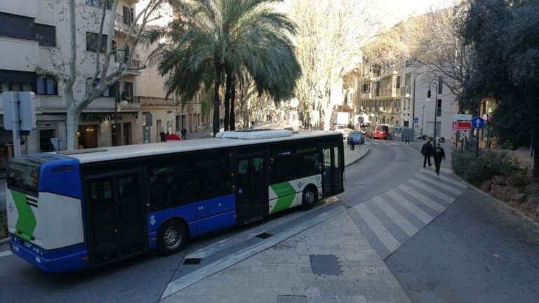bus emt palma