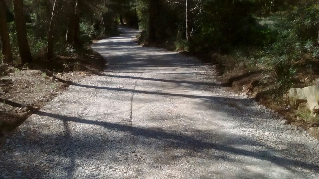 caminos
