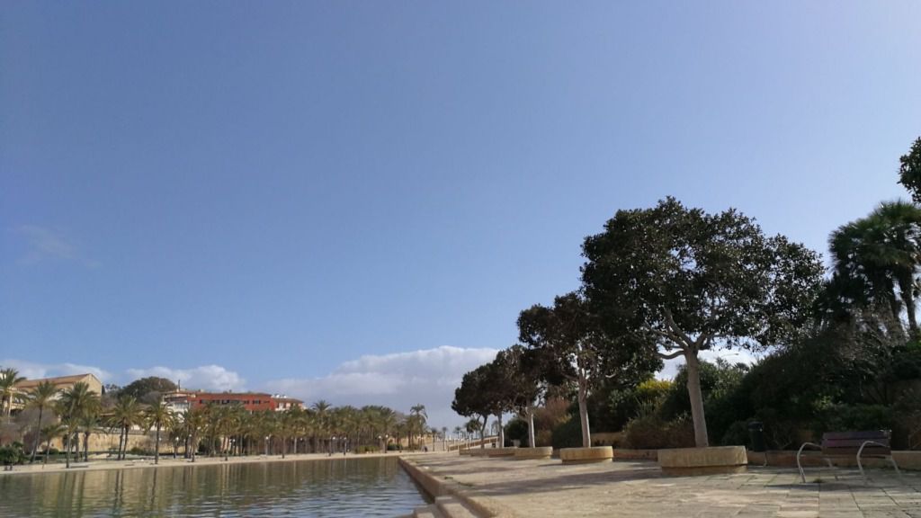 sol gente palma buen tiempo