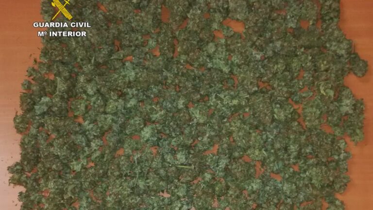 marihuana