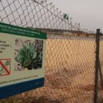 El proyecto de construcción de Palma Springs en Ses Fontanelles está paralizado