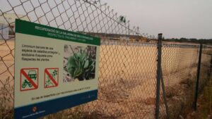 El proyecto de construcci&oacute;n de Palma Springs en Ses Fontanelles est&aacute; paralizado