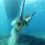 Posidonia, emisaris y fondeos