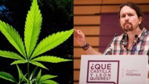 pablo iglesias hoja de marihuana