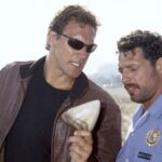 hai alarm auf mallorca