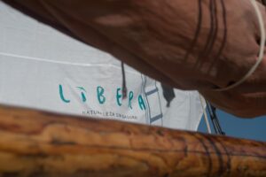 www.mallorcadiario.com_galerias-noticias_galerias_520423_Proyecto_Libera_PressDay_1von18_