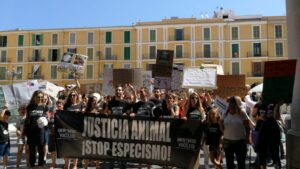 www.mallorcadiario.com_galerias-noticias_galerias_520449_manifestacionanimales_15_