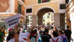 www.mallorcadiario.com_galerias-noticias_galerias_520449_manifestacionanimales_2_