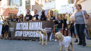 www.mallorcadiario.com_galerias-noticias_galerias_520449_manifestacionanimales_3_