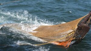 pesca de arrastre