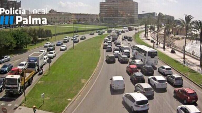 La Policía de Palma ha colgado la imagen en twitter