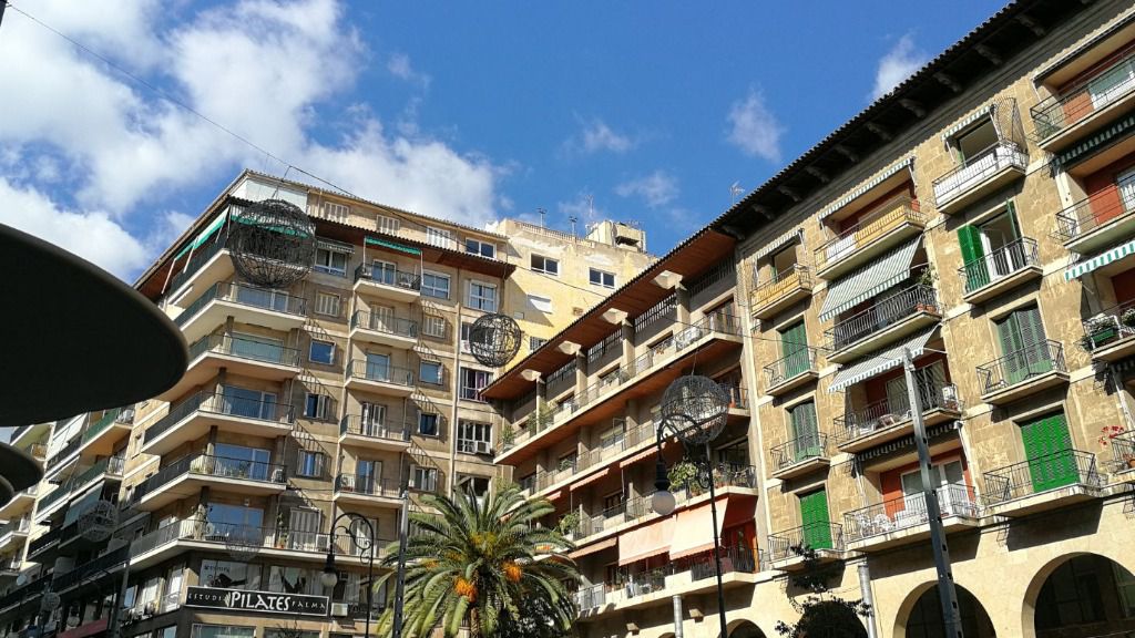 palma pisos