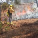 incendio forestal