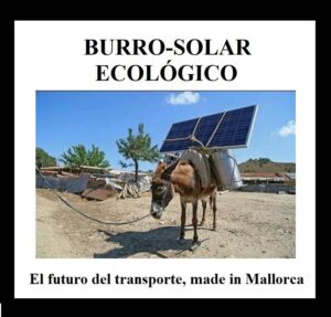 burro solar