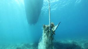 Posidonia, emisaris y fondeos
