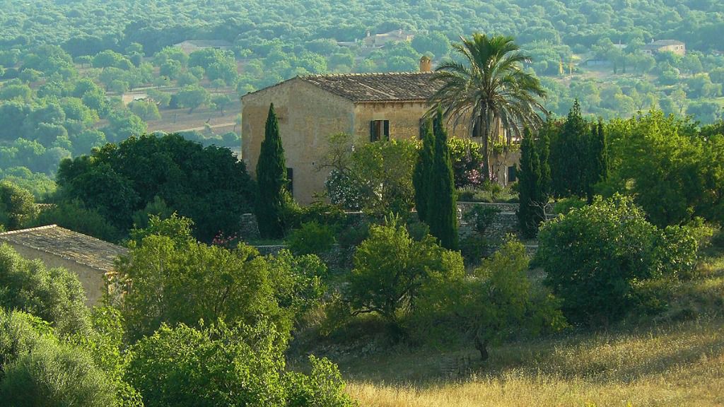 Explotación agrícola en Mallorca