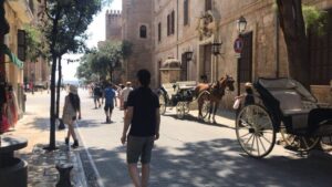 Imagen de este mismo jueves de un caballo de galera al sol en plena ola de calor