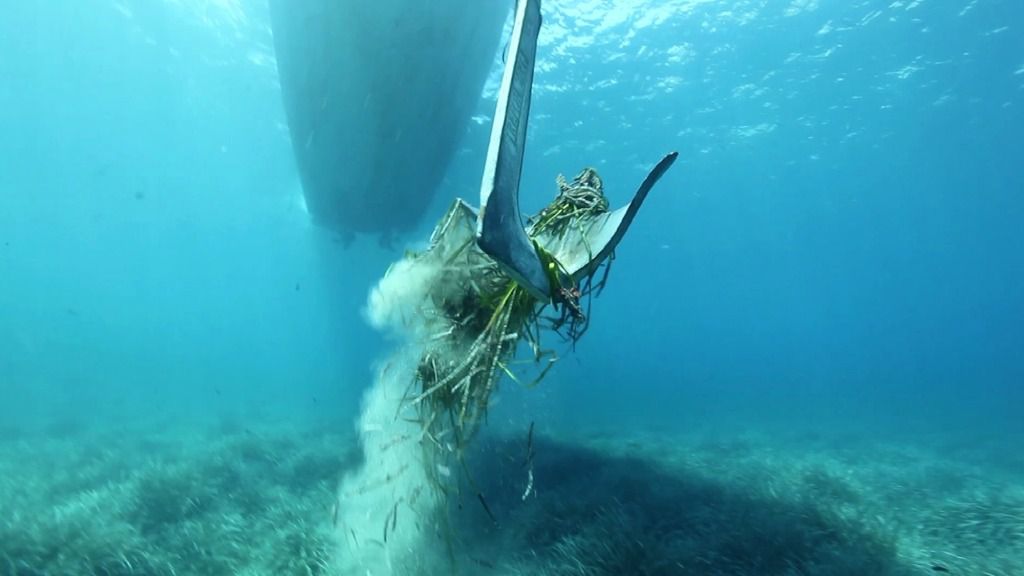 Posidonia, emisaris y fondeos