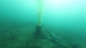 Posidonia, emisaris y fondeos