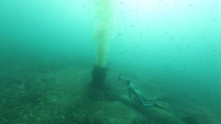 Posidonia, emisaris y fondeos