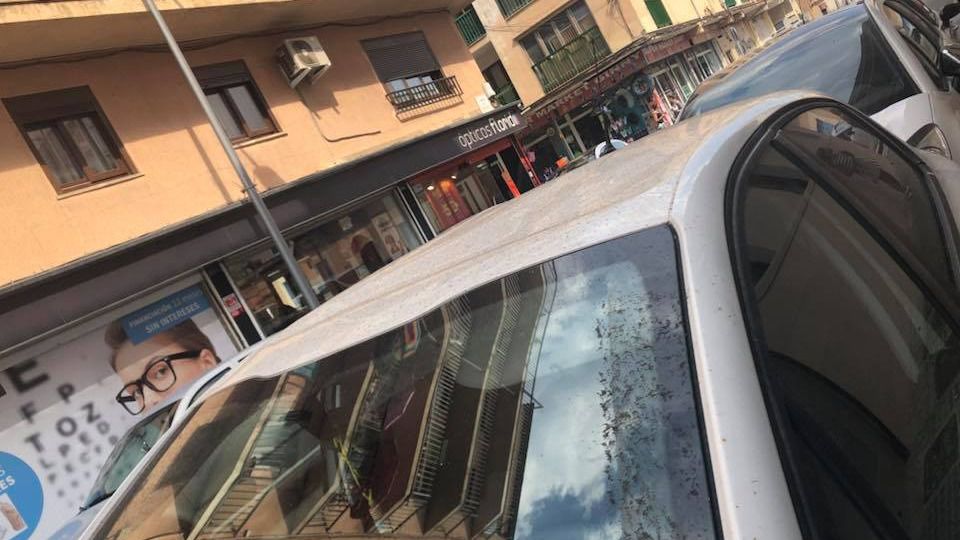 daños coche