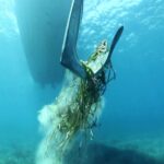 Posidonia, emisaris y fondeos