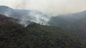 llutxent incendio