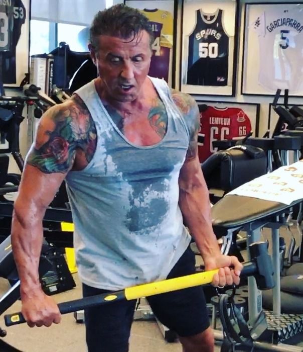 stallone