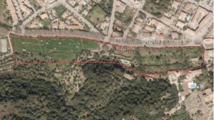 la cartuja la cartoixa