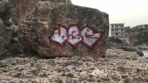 pintadas en Cala Figuera