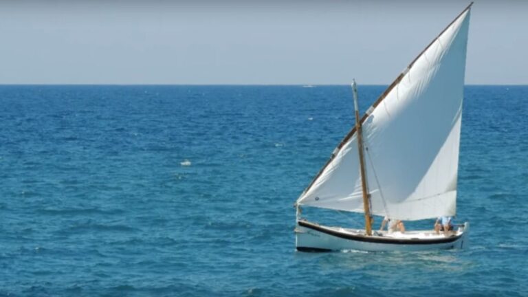 llaut vela latina