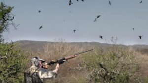 caza de t&oacute;rtolas