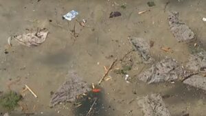 vertido playa ciudad jardin