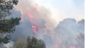 incendio can magraner