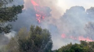 incendio can magraner