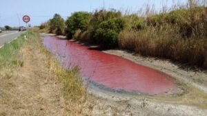 Imagen del agua te&ntilde;ida de rojo