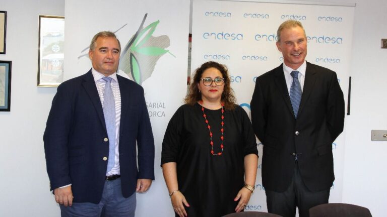 endesa y la fehm