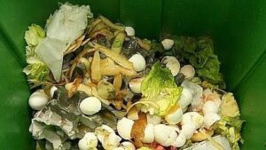 recogida selectiva de materia org&aacute;nica