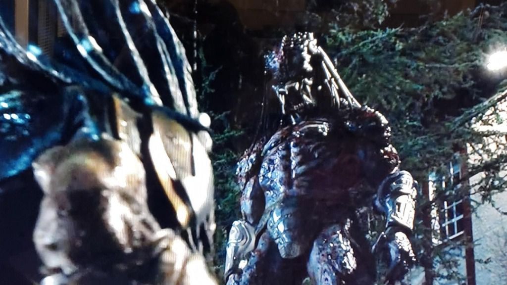 predator depredador