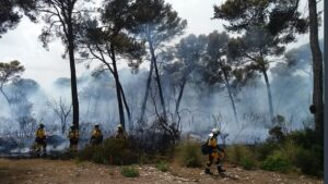 incendio son servera