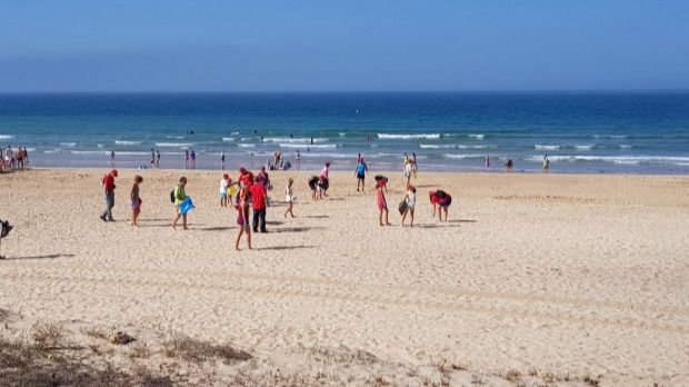 playa, recogida