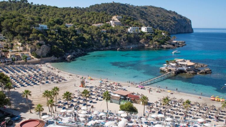 playa andratx camp de mar