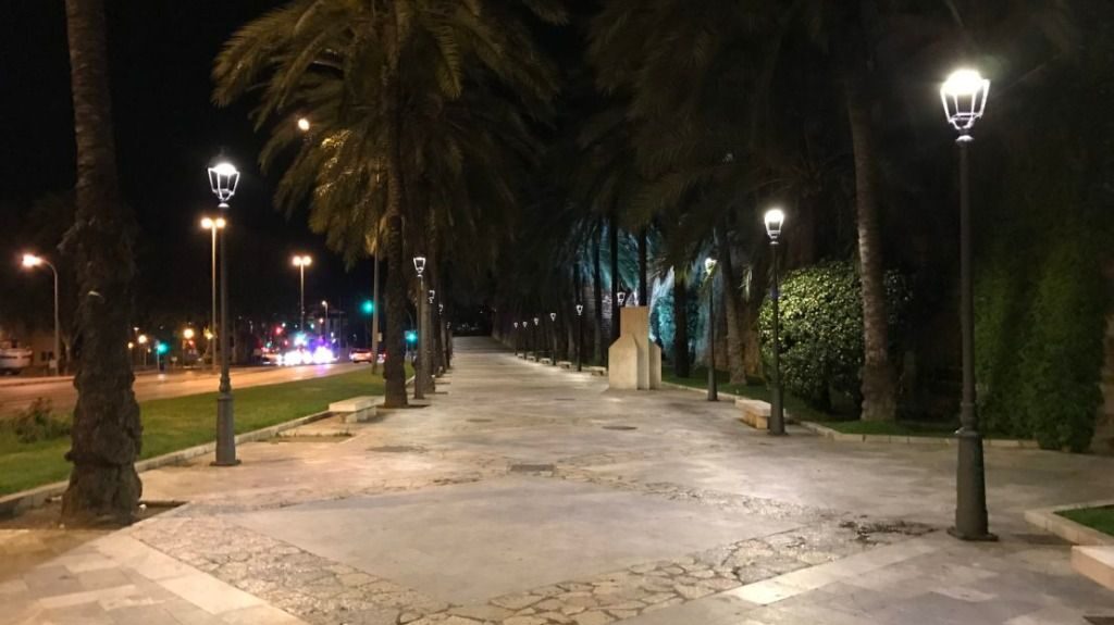 Palma activa el plan de preemergencia por lluvias y tormentas y cierra varios parques