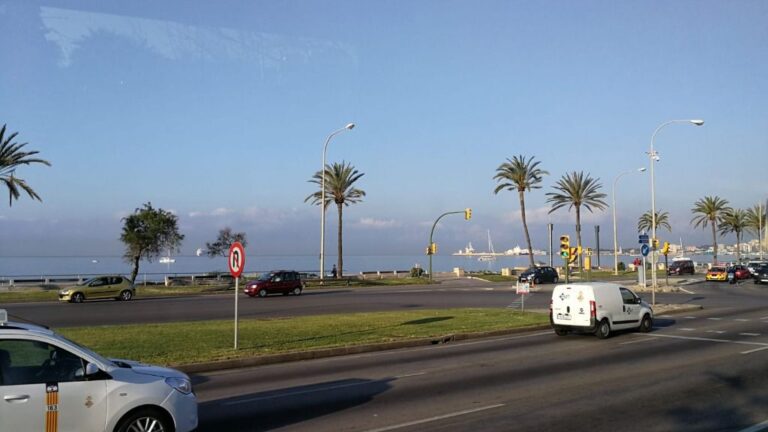 tiempo, despejado, sol, carretera, coches