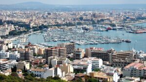 palma vista a&eacute;rea