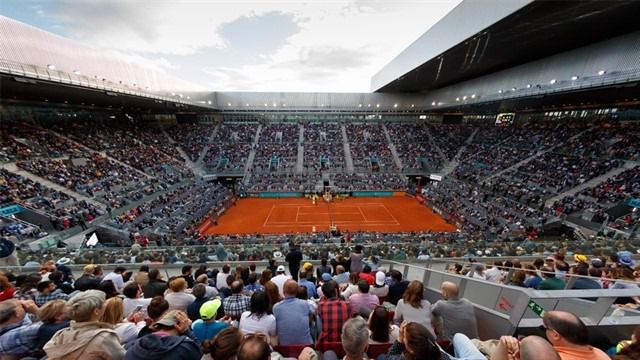 tenis