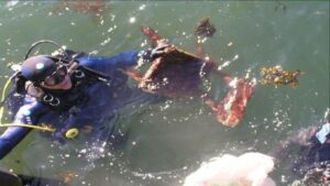 limpieza fondos marinos